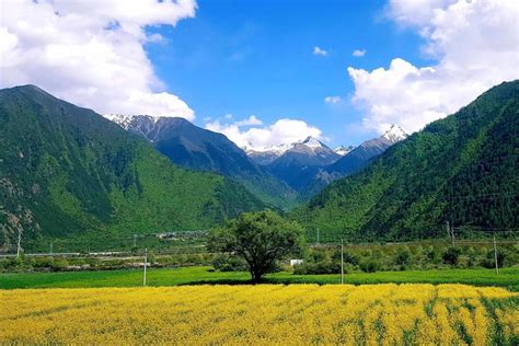 命格缺土|五行缺土，如何补充与调整？